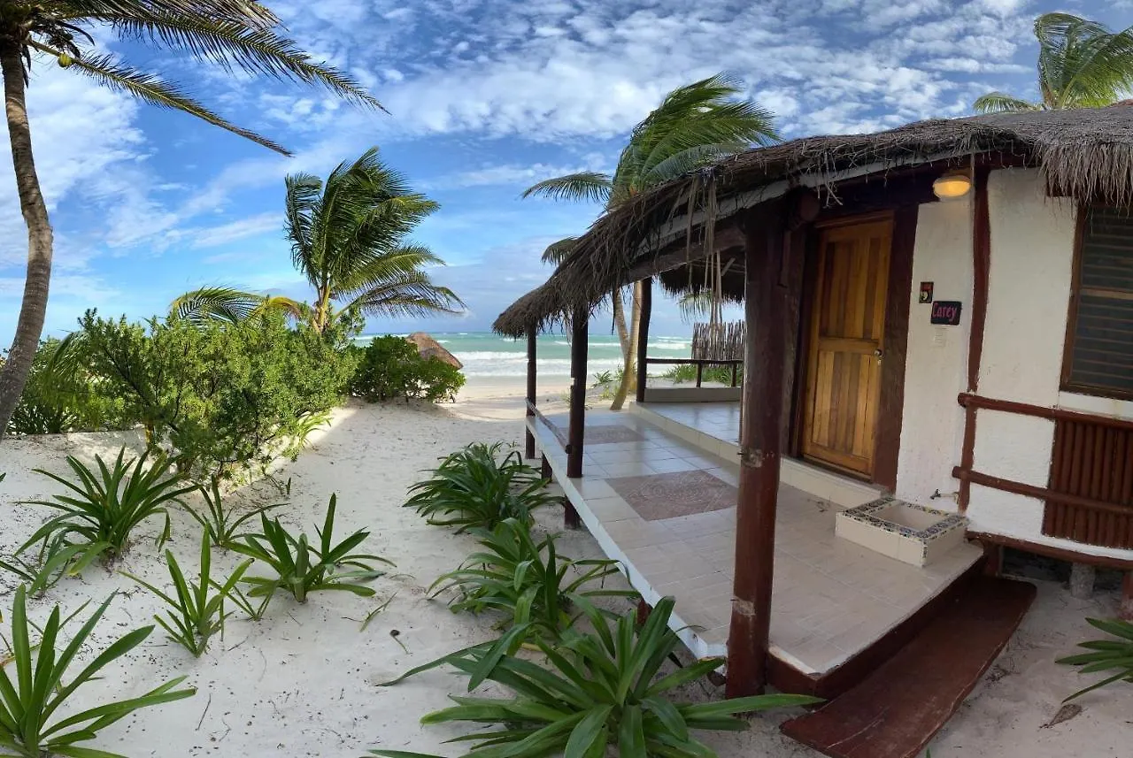 Hotel Bt Live Tulum Located At The Party Zone