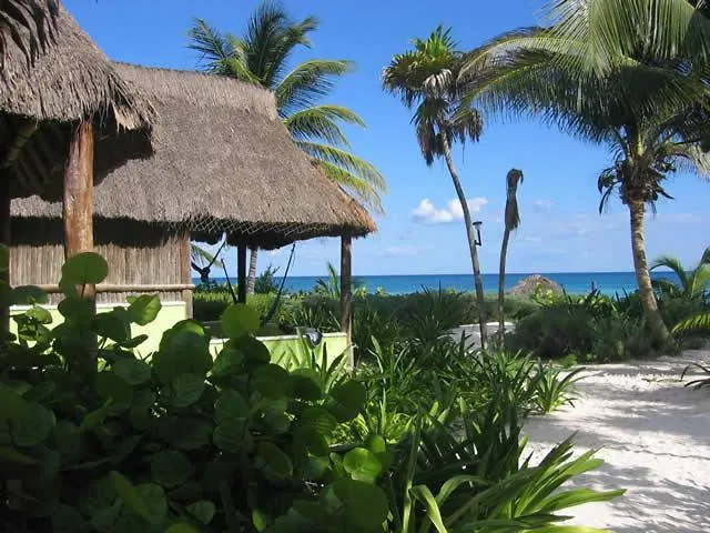 Hotel Bt Live Tulum Located At The Party Zone 4*,  Meksyk