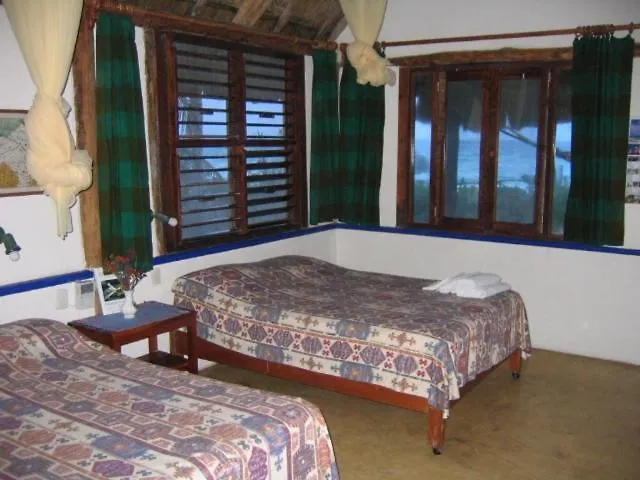 ****  Hotel Bt Live Tulum Located At The Party Zone Meksyk