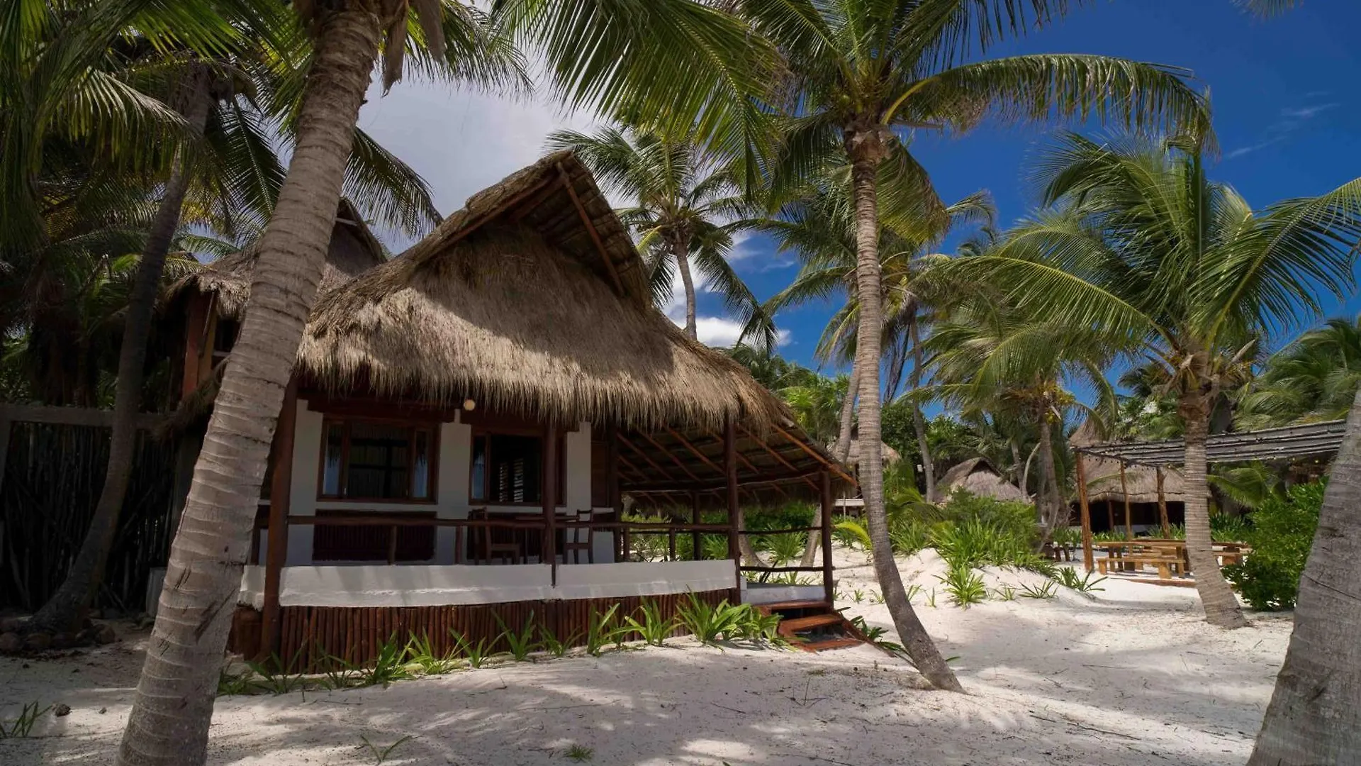 Hotel Bt Live Tulum Located At The Party Zone