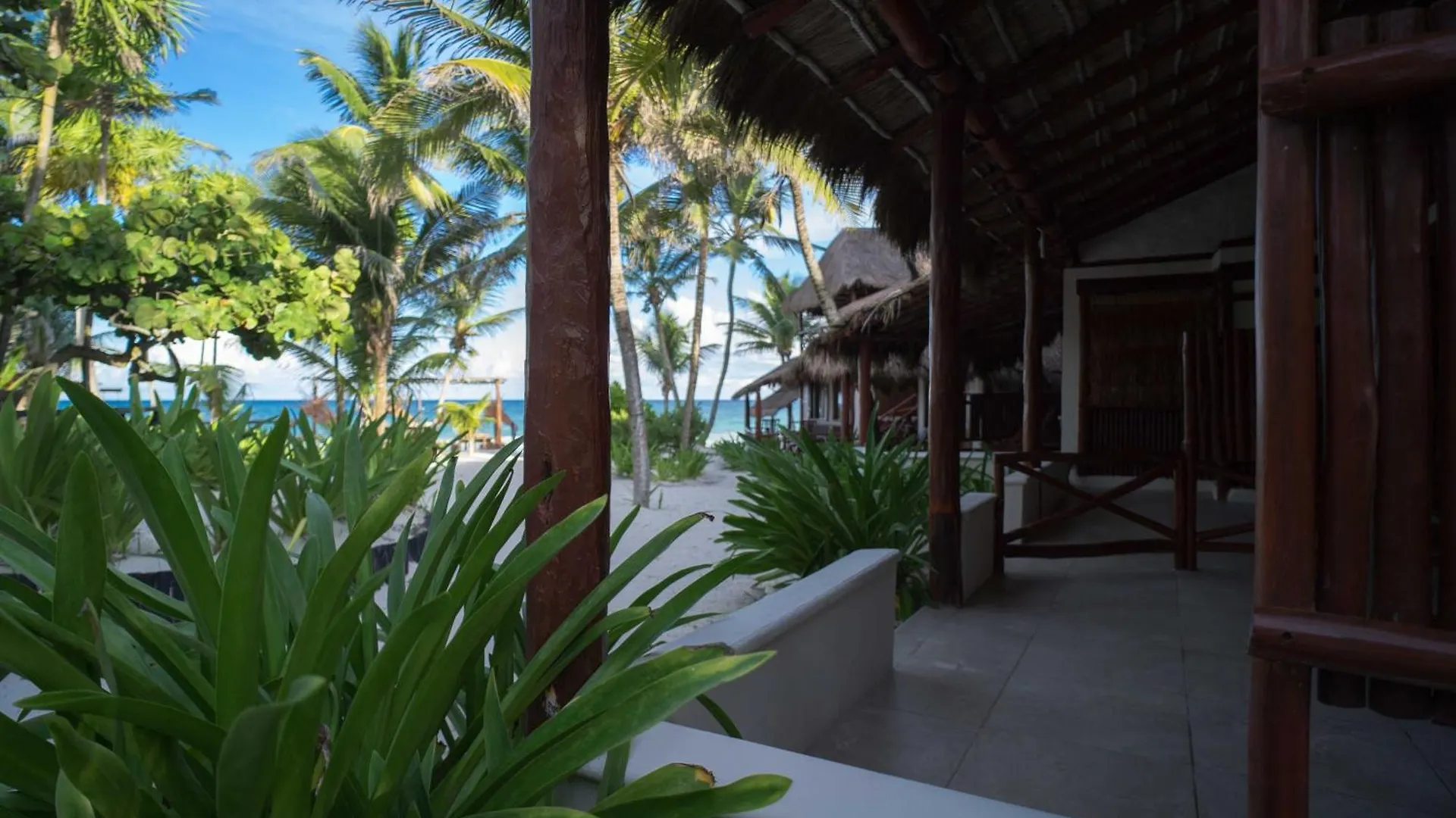Hotel Bt Live Tulum Located At The Party Zone