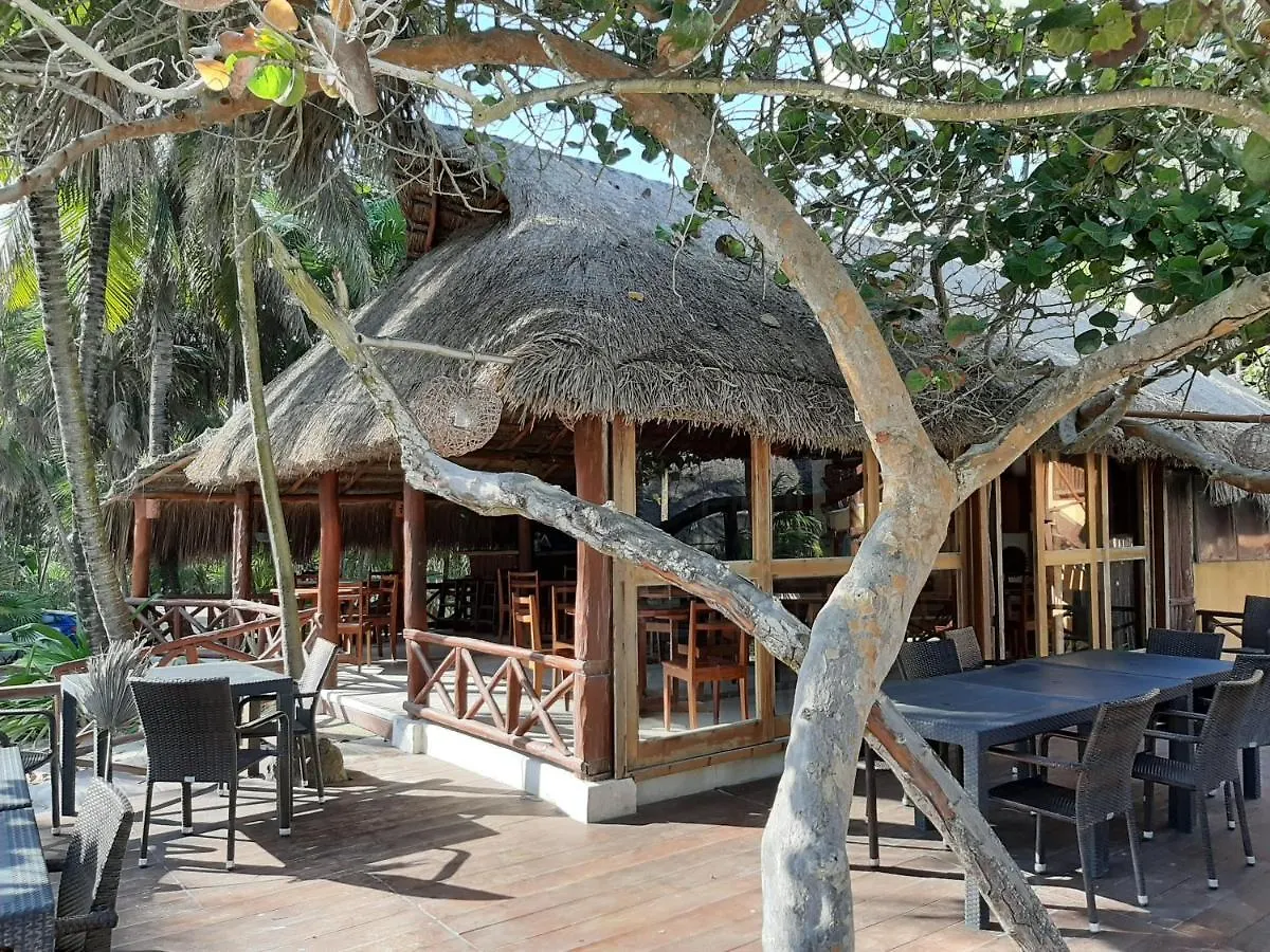 Hotel Bt Live Tulum Located At The Party Zone Meksyk