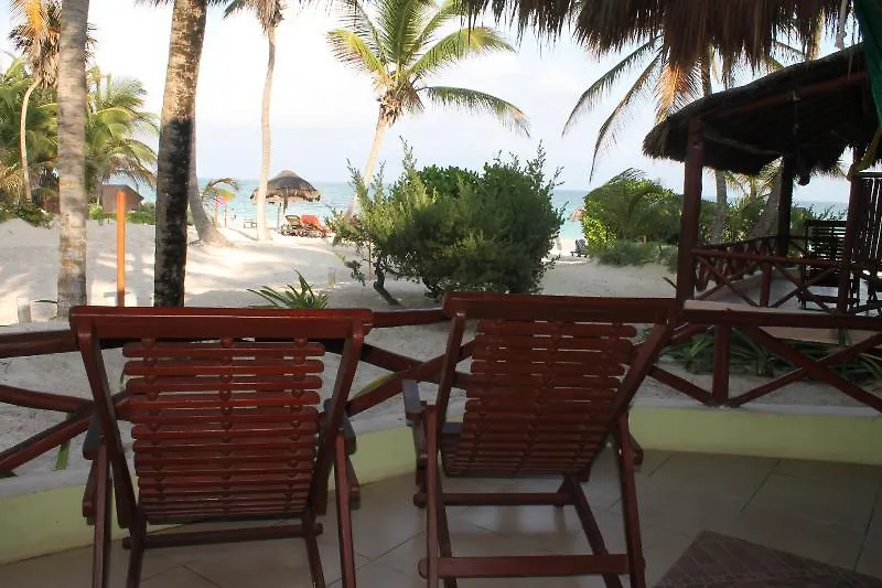****  Hotel Bt Live Tulum Located At The Party Zone Meksyk